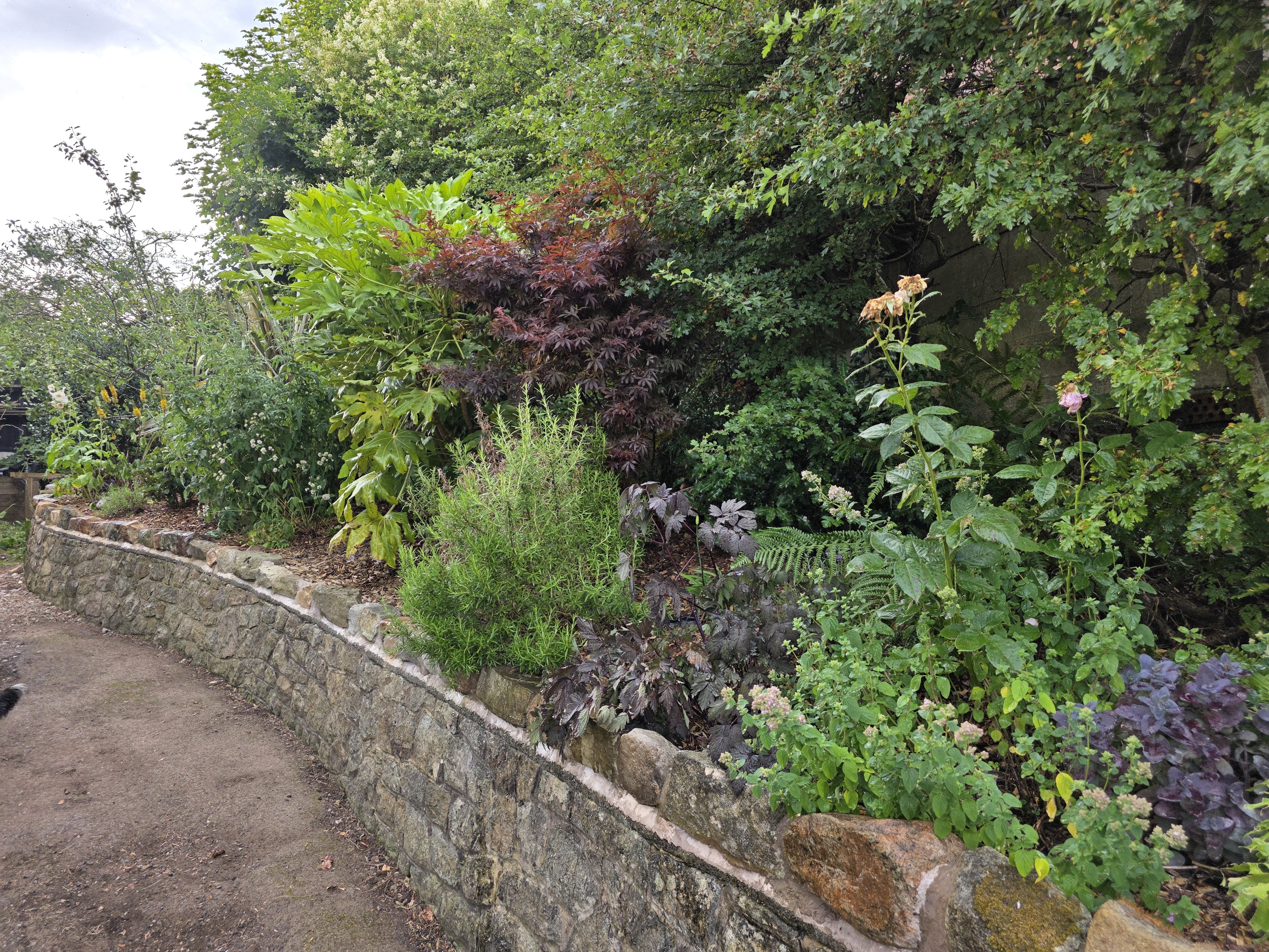 Mow Cop road test — photo 8